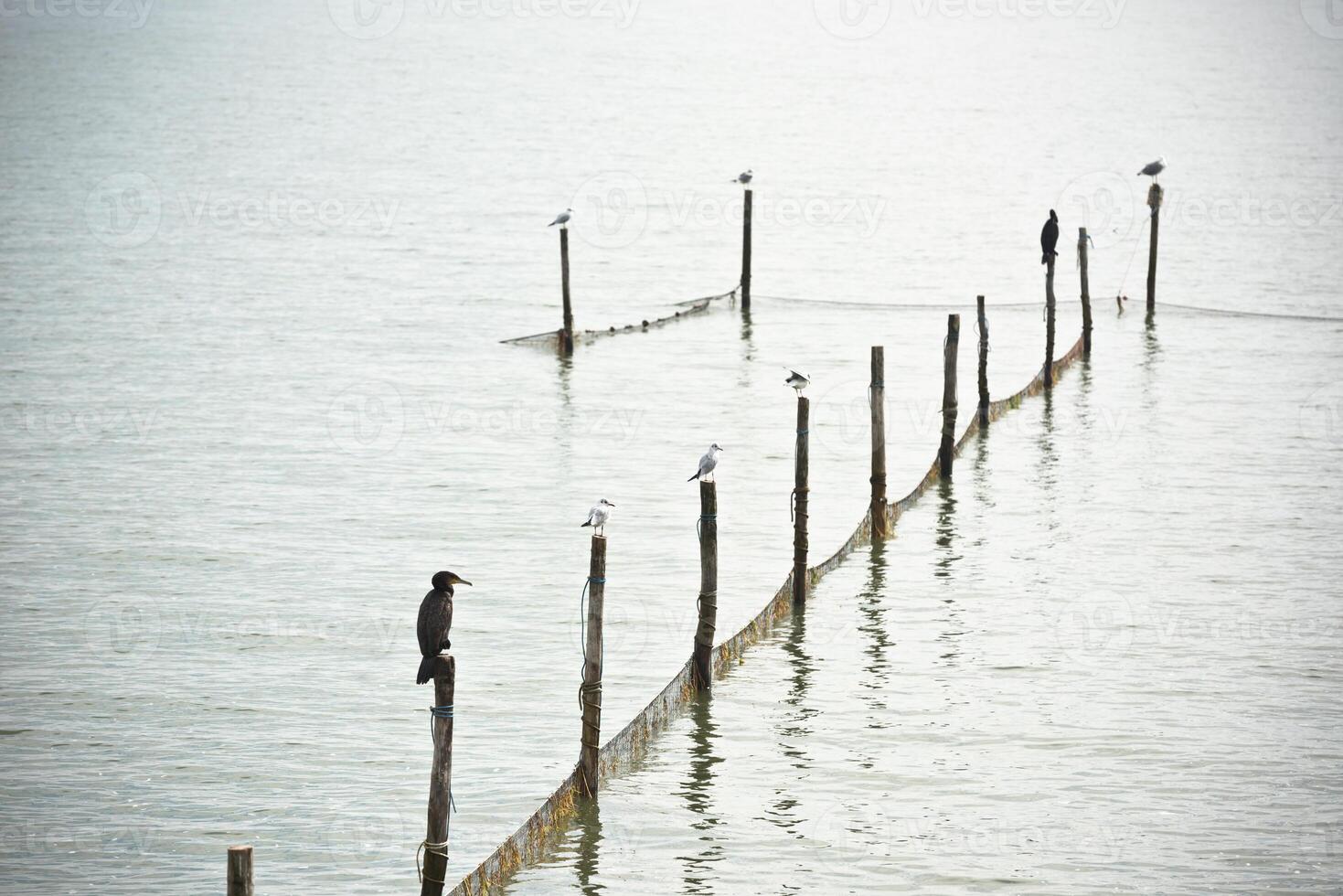 Northern Sea landscape photo