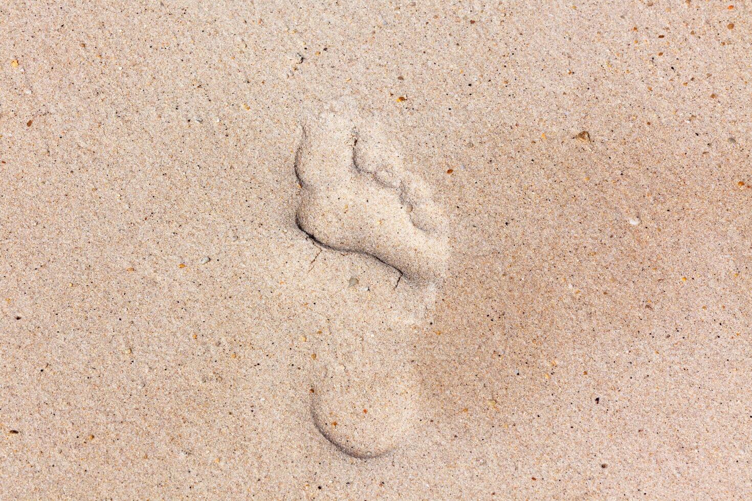 Footprint nature background photo