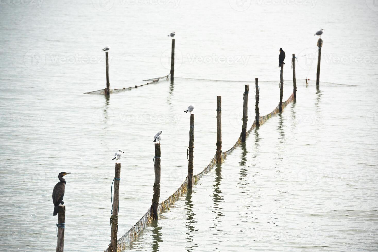 Northern Sea landscape photo
