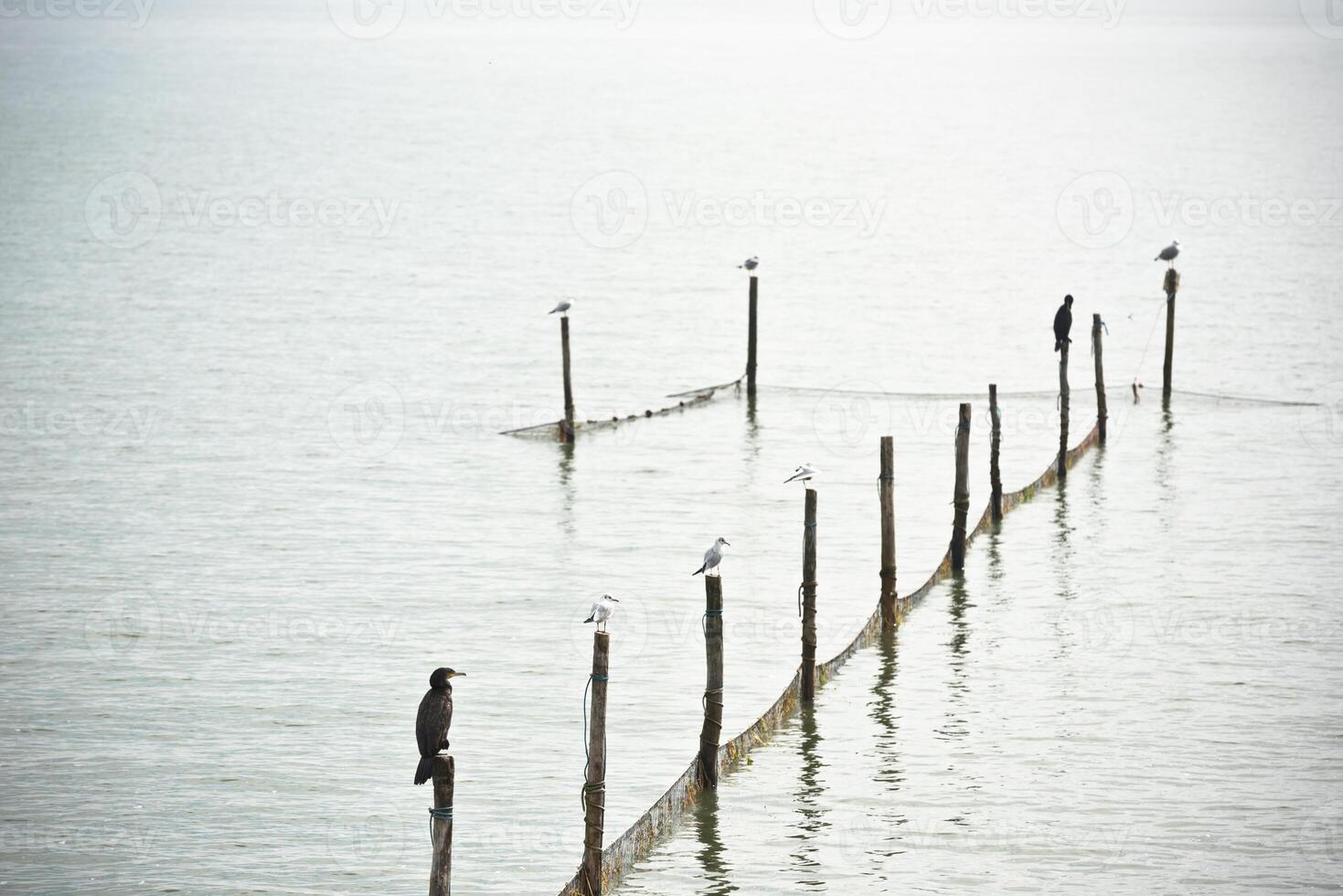 Northern Sea landscape photo