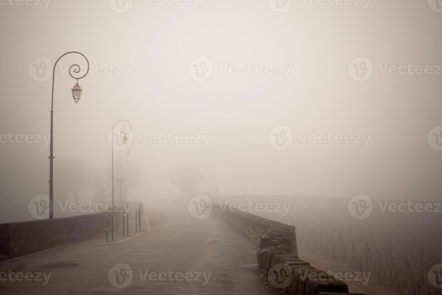 Foggy road with old lamps photo