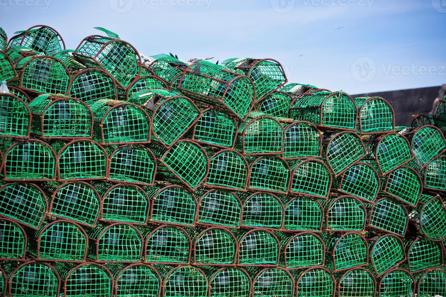 Lobster and Crab traps stack in a port photo