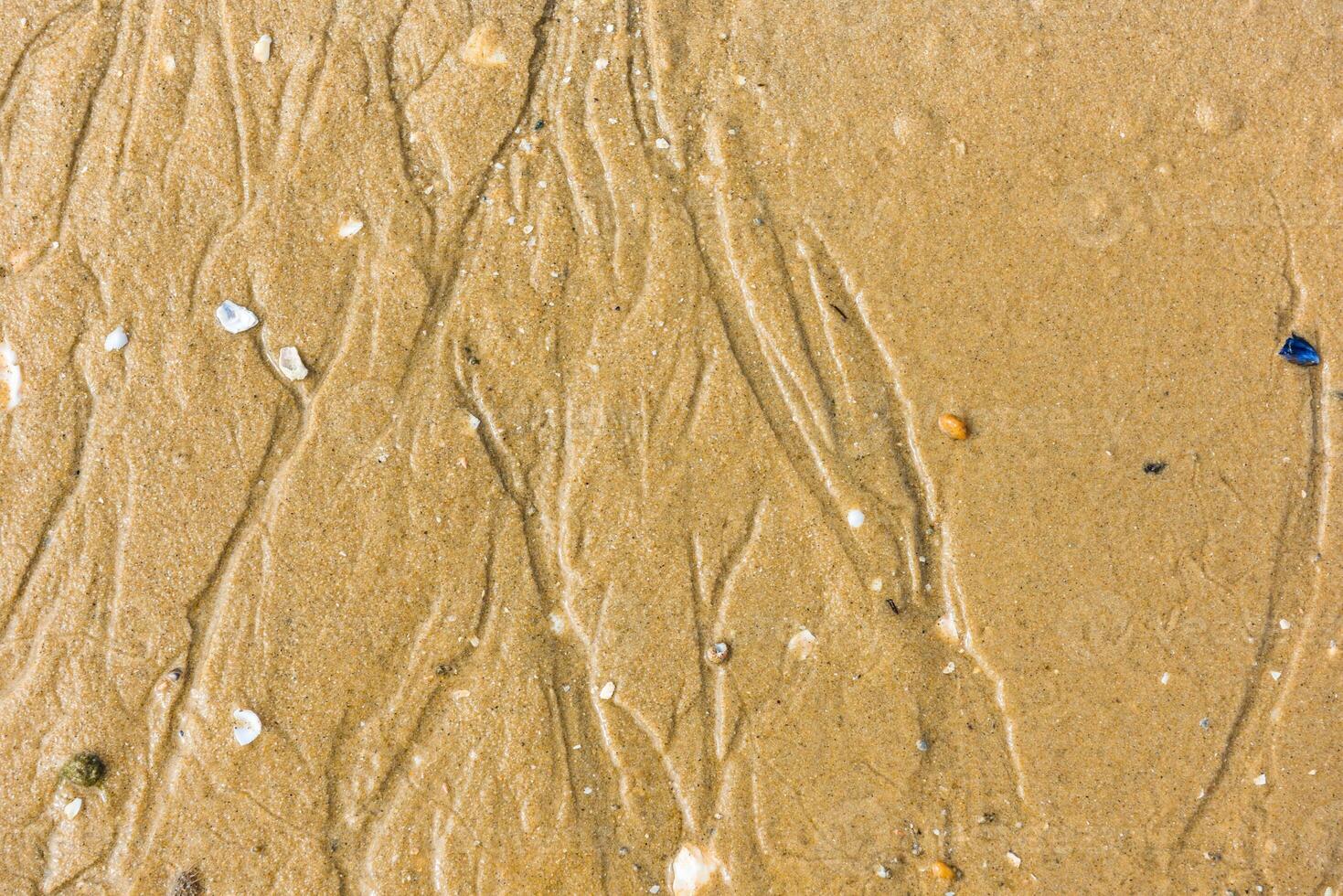 Top view of a sand sea bottom photo