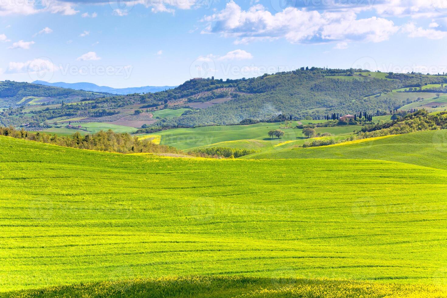 Tuscan Val d'Orcia landscape photo