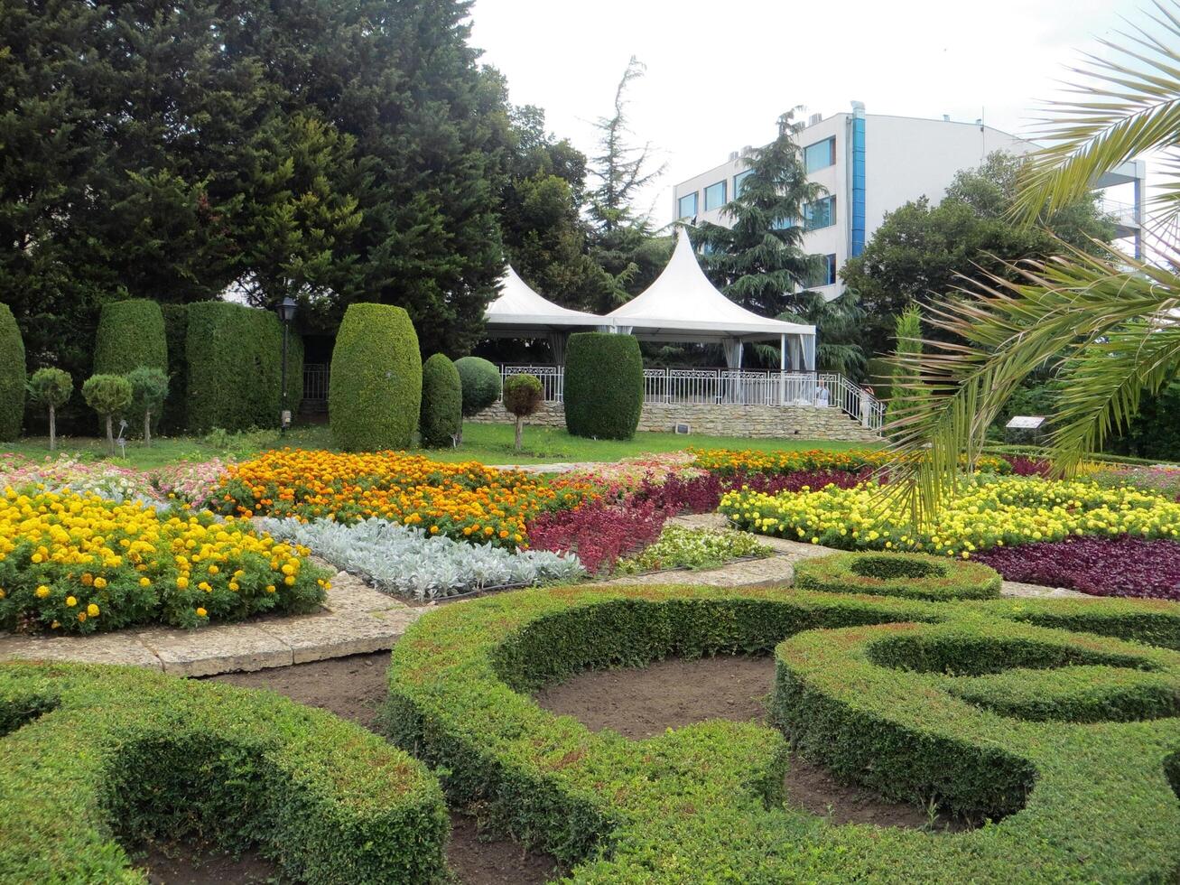 Balchik, Bulgaria. July 30, 2024. The botanical garden of the Queen Marie of Romania at Bulgarian Black Sea coastline. Colorful pattern of flowers. photo