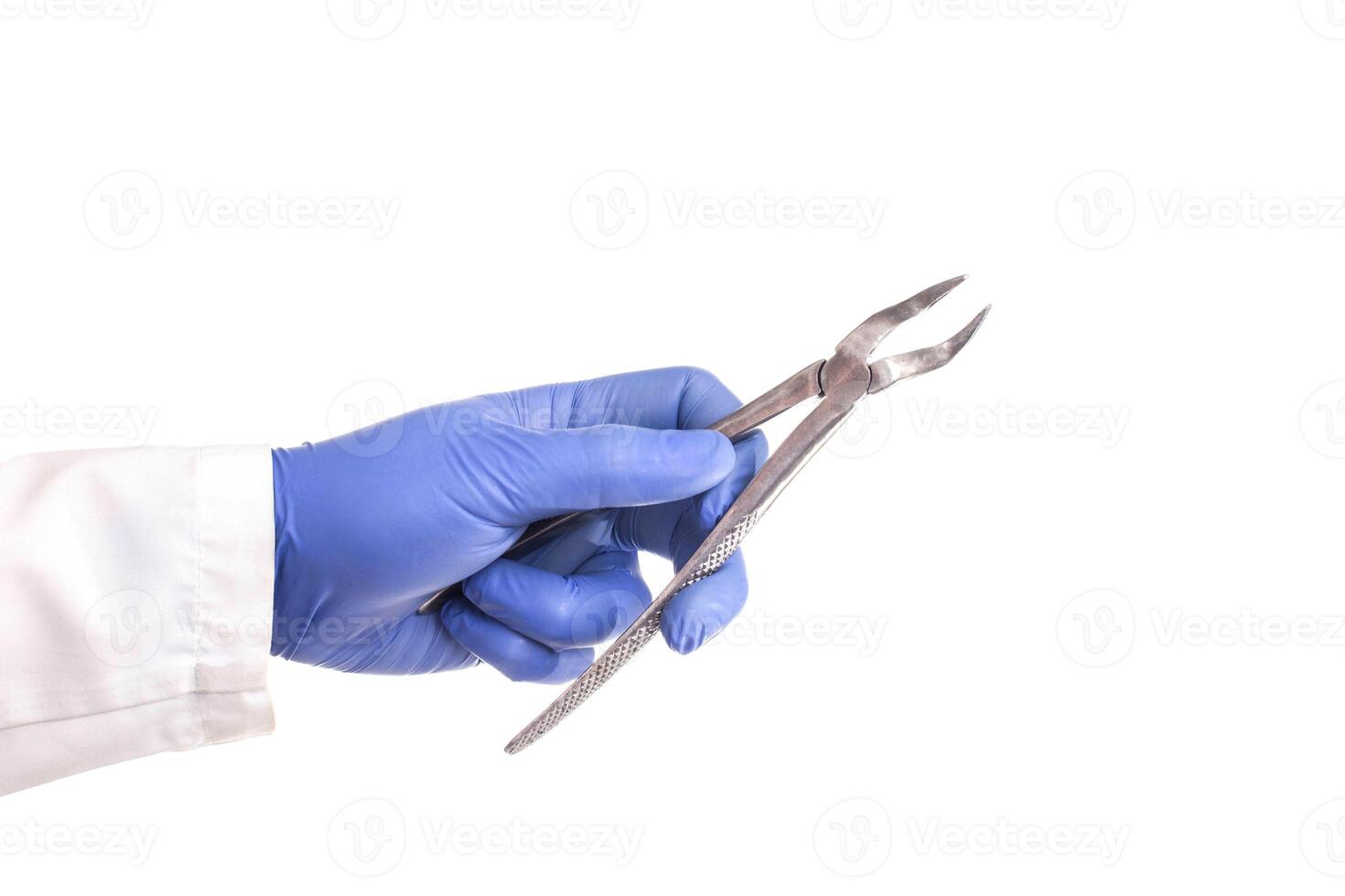 Doctor dentist holds in his hand forceps to pull out teeth on a white background, isolate. Dentistry tooth extraction concept photo