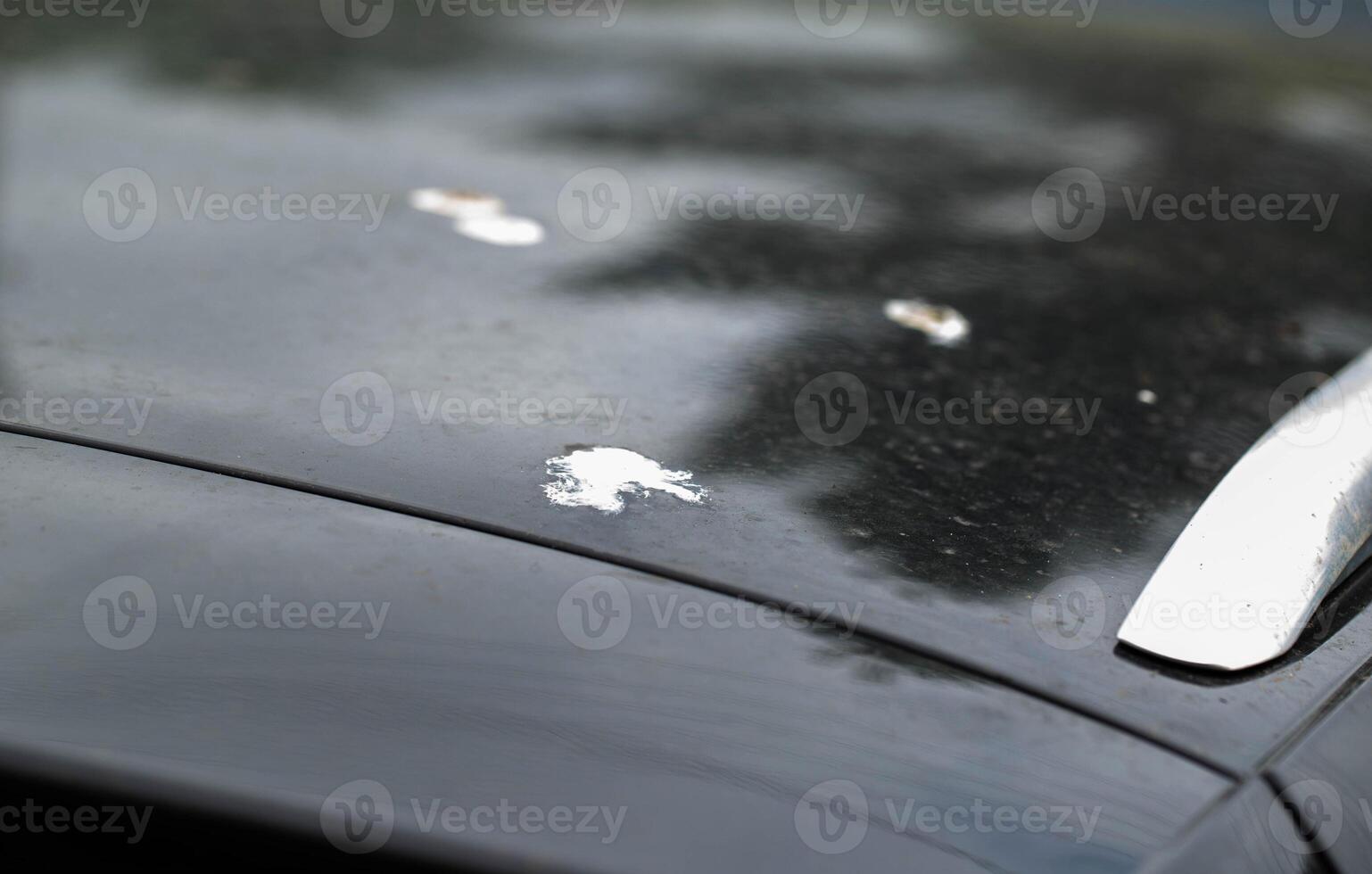 Bird droppings on the paintwork of a gray car. Concept of paint corrosion, damage, close-up photo