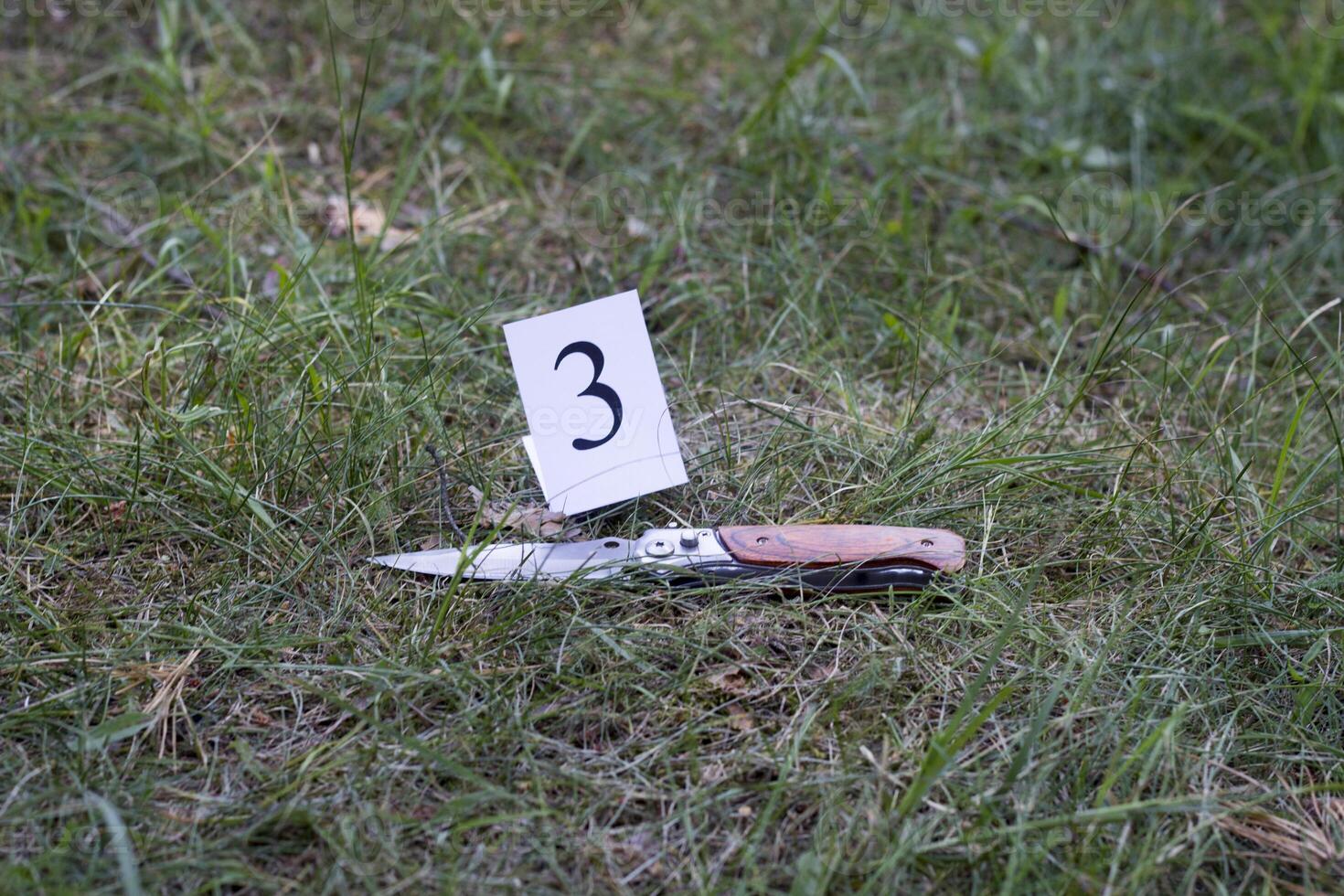 knife on the grass, investigation, murder photo