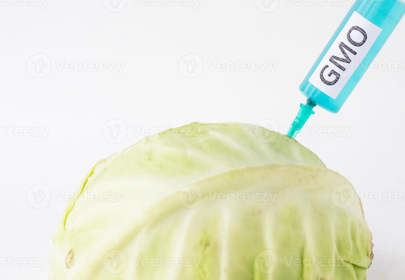 Cabbage on a white background into which gmo and nitrates are injected from the syringe, close-up, genetically modified organism, cole photo
