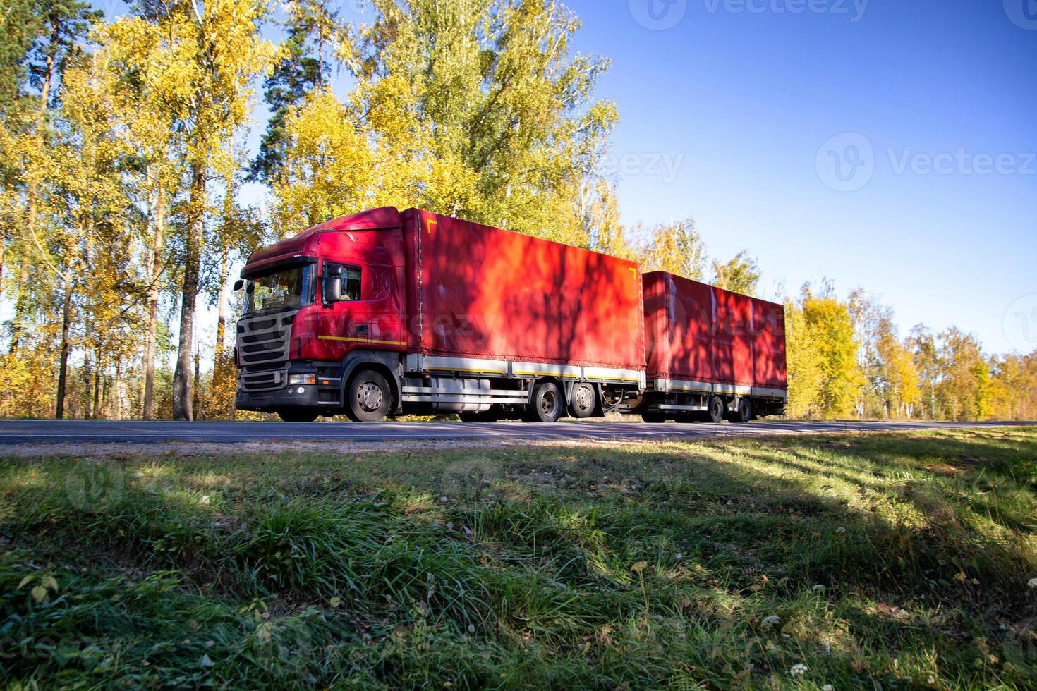 The new red truck with a semi-trailer transports a lot of bulk cargo. Cargo transportation on a country road against the backdrop of a forest in autumn. Copy space for text photo