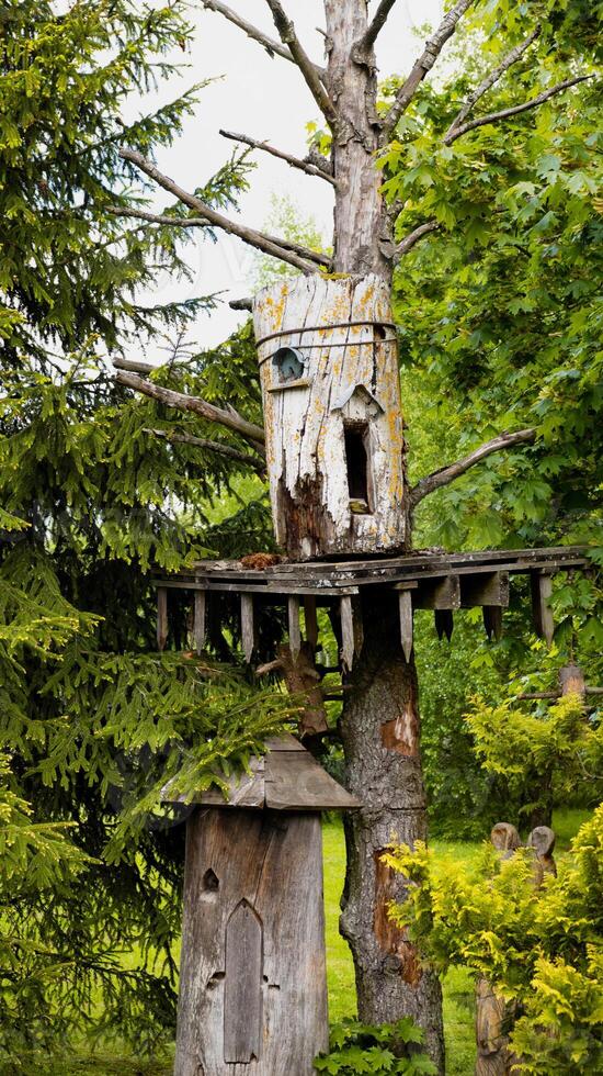 Bee deck on a tree in the forest. The ancient method of beekeeping. photo
