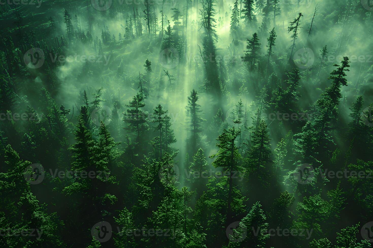 Misty Forest with Sunbeams - Nature's Serene Beauty in Lush Greenery photo