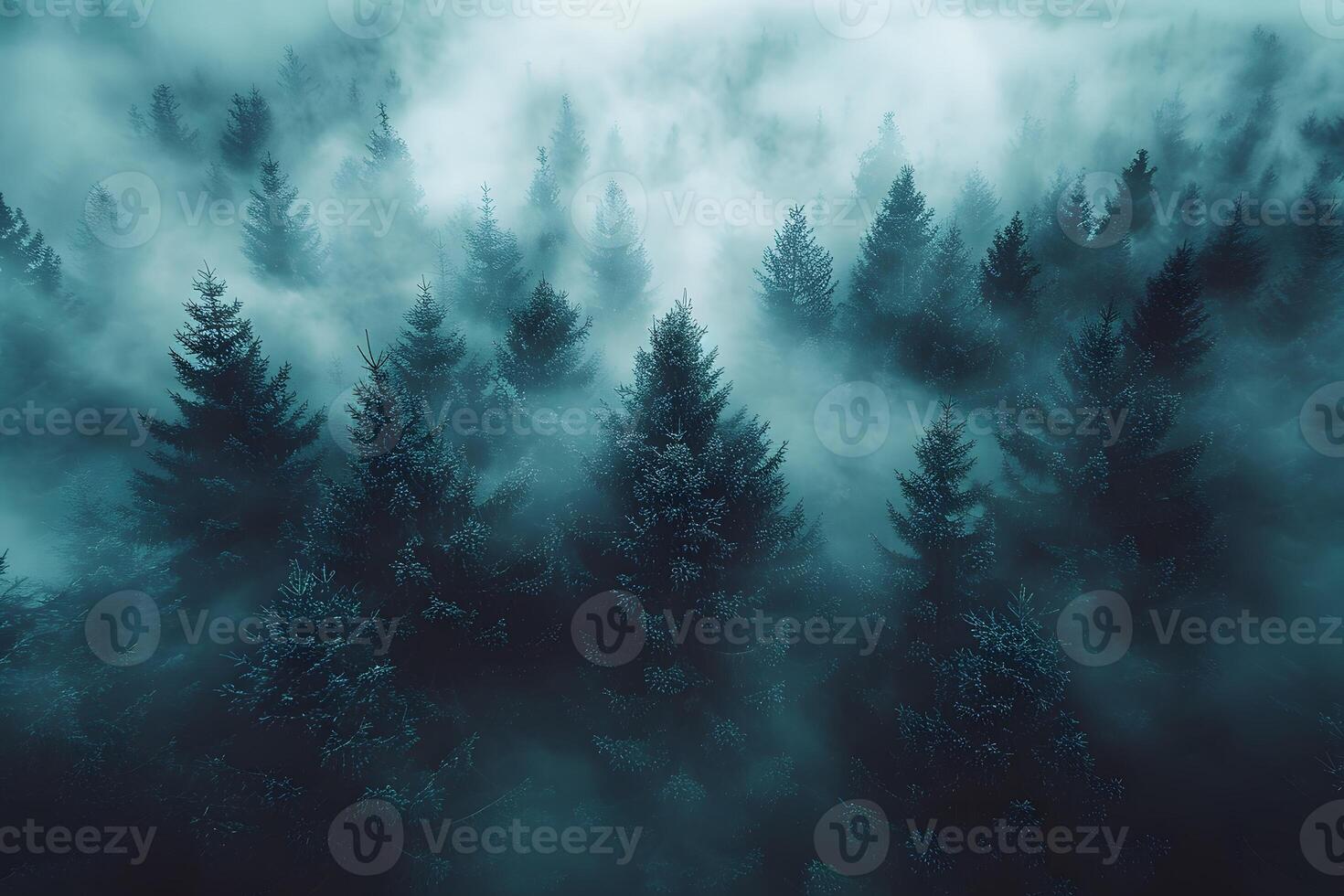 Mystical Foggy Forest at Dawn for Nature and Wilderness Themed Artwork photo