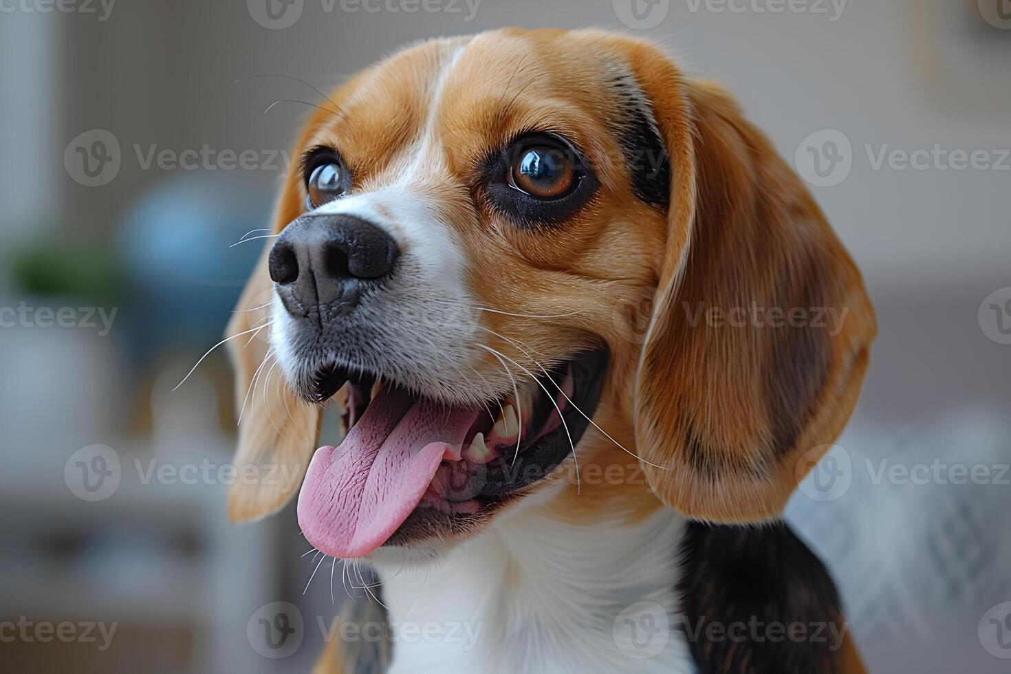 Joyful Beagle with Tongue Out Perfect for Pet Lovers and Nature Photography photo