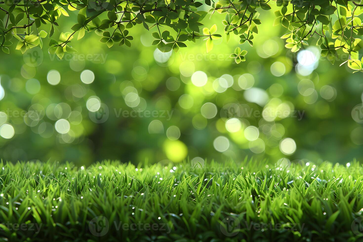 Serene Green Meadow with Dew Drops and Sunlit Leaves for Nature-Inspired Background photo