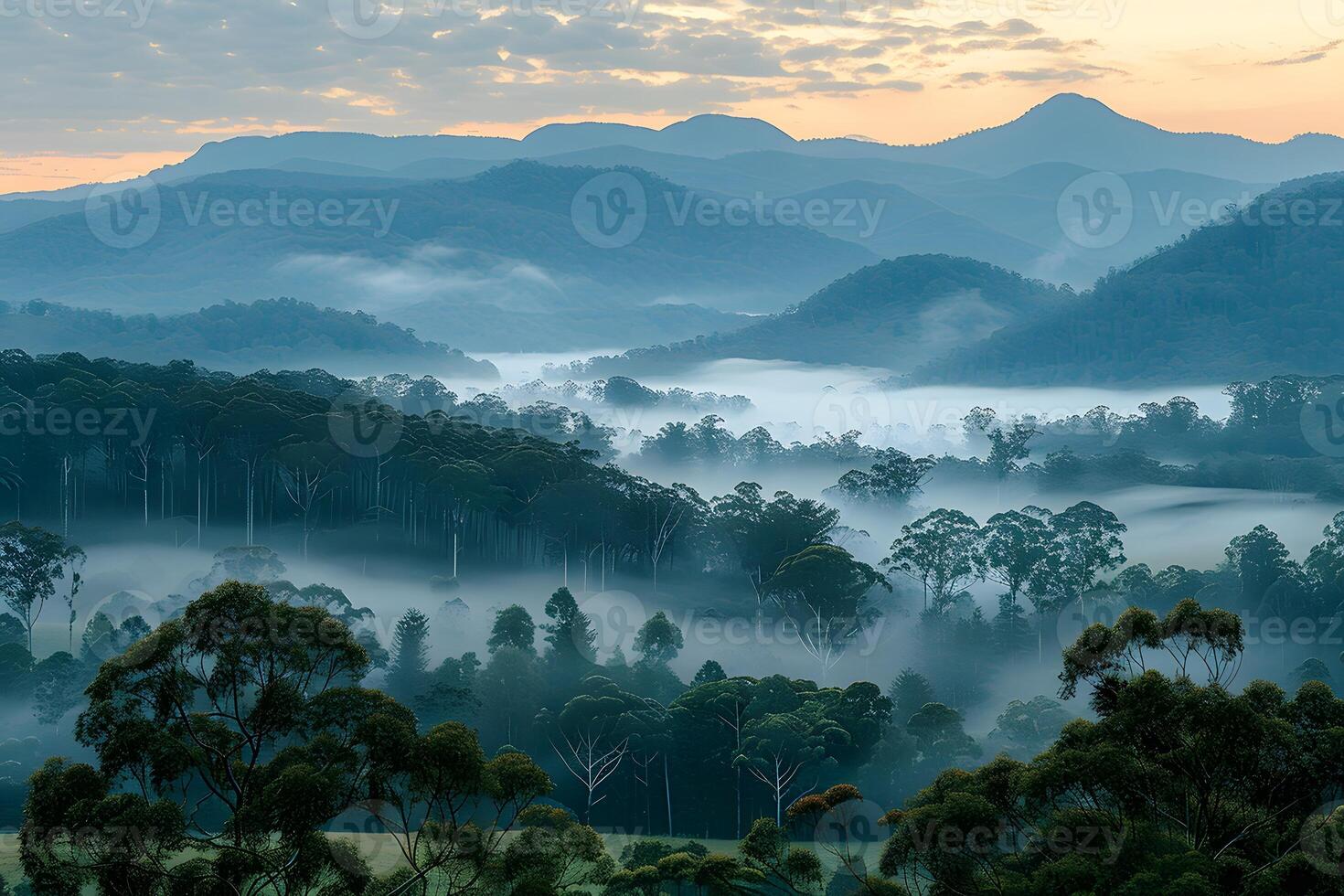 Serene Morning Mist Over Lush Forest and Rolling Hills at Sunrise photo