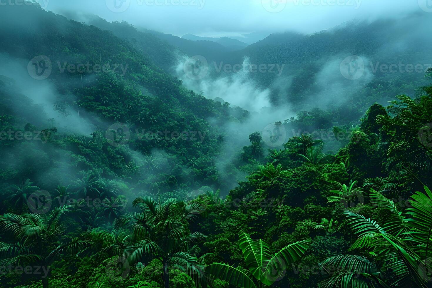 Mystical Tropical Rainforest with Misty Atmosphere for Nature and Environmental Themes photo