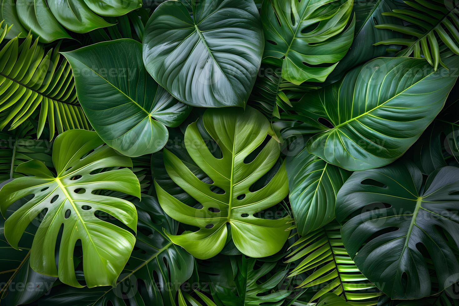 Lush Tropical Foliage Background for Nature and Botanical Designs photo