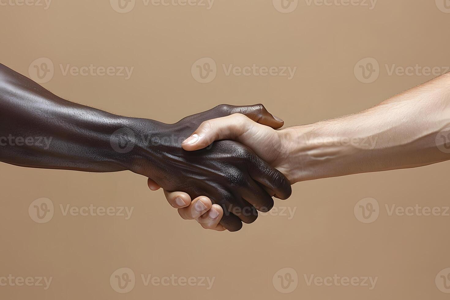Diverse Handshake Symbolizing Unity and Collaboration photo
