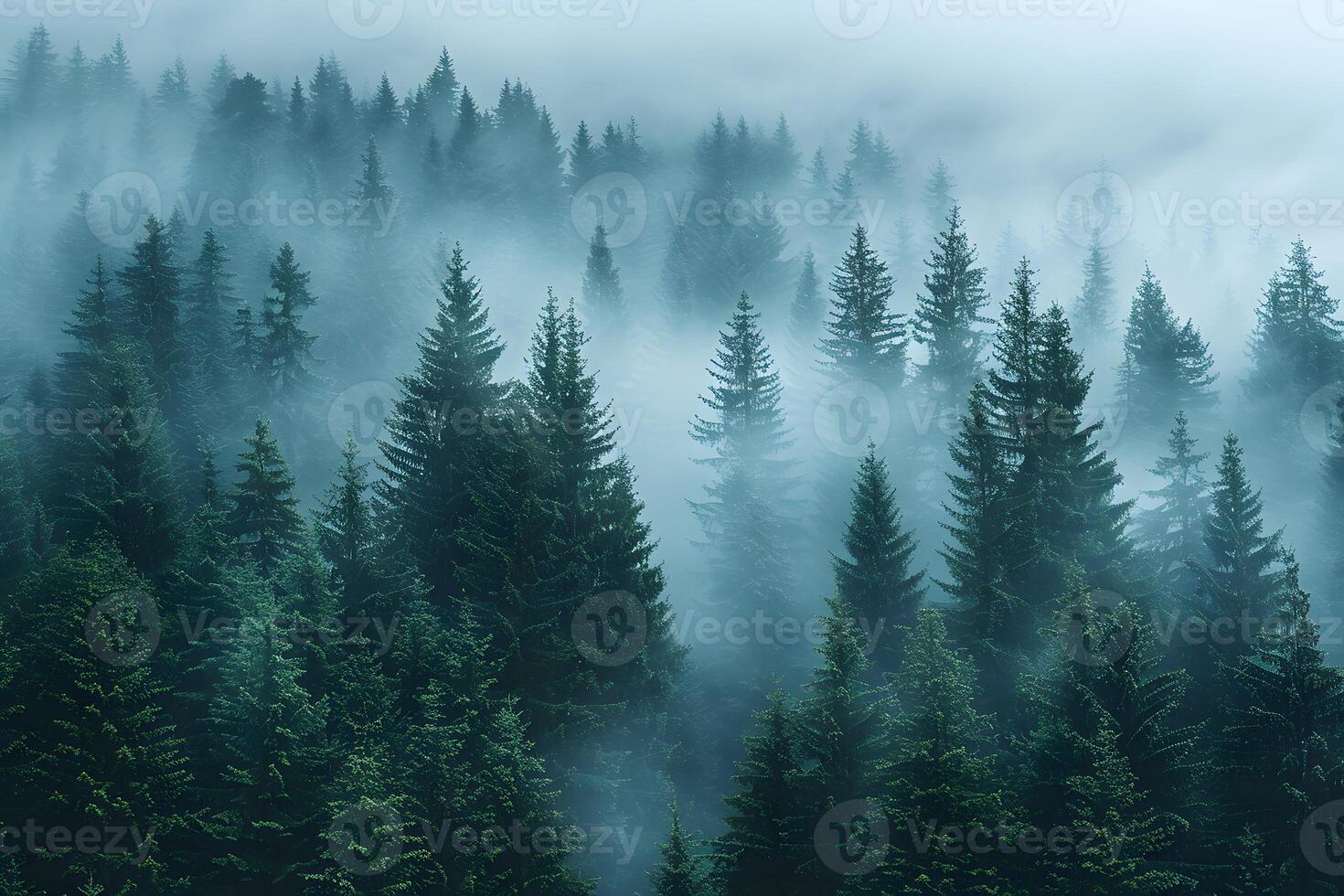 Mystical Forest Landscape in Morning Mist for Nature Inspiration and Tranquil Design photo