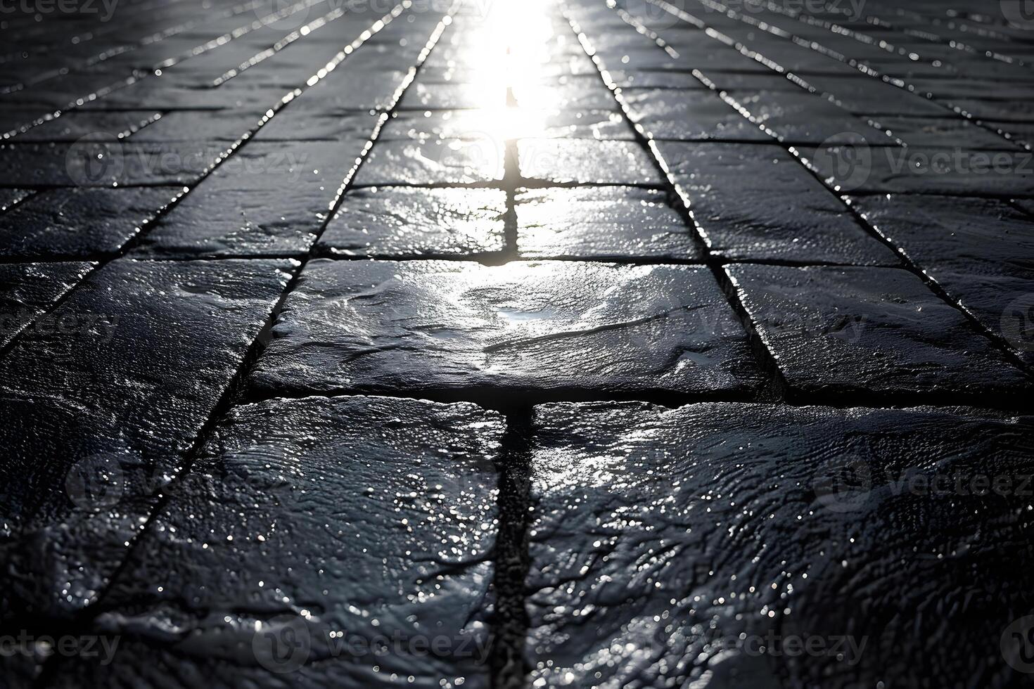 Wet Cobblestone Pathway Reflecting Sunlight in Urban Setting photo