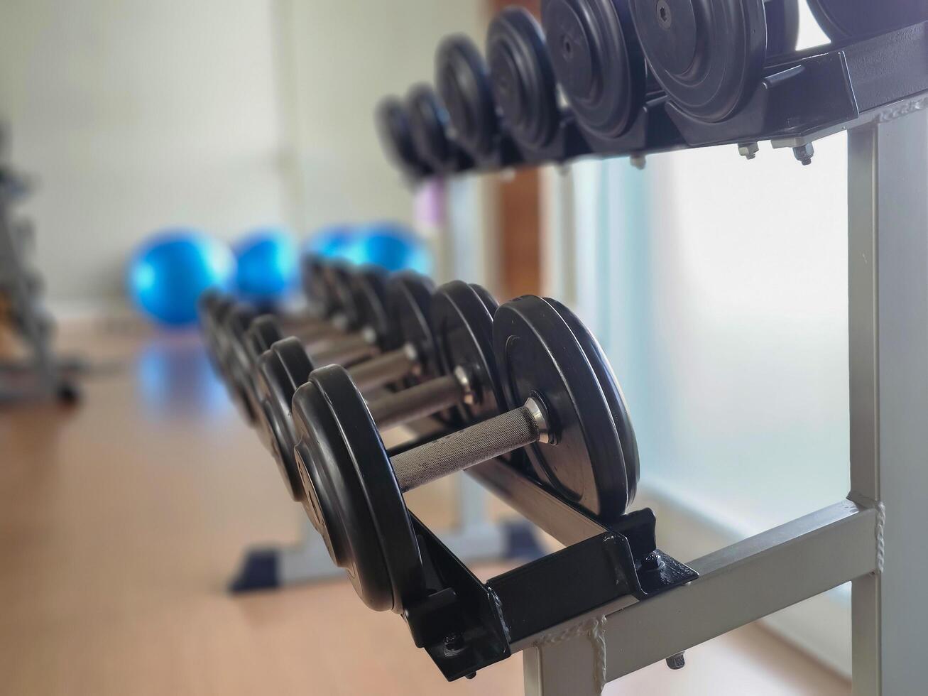 Row of dumbbells in gym, No people, copy space photo