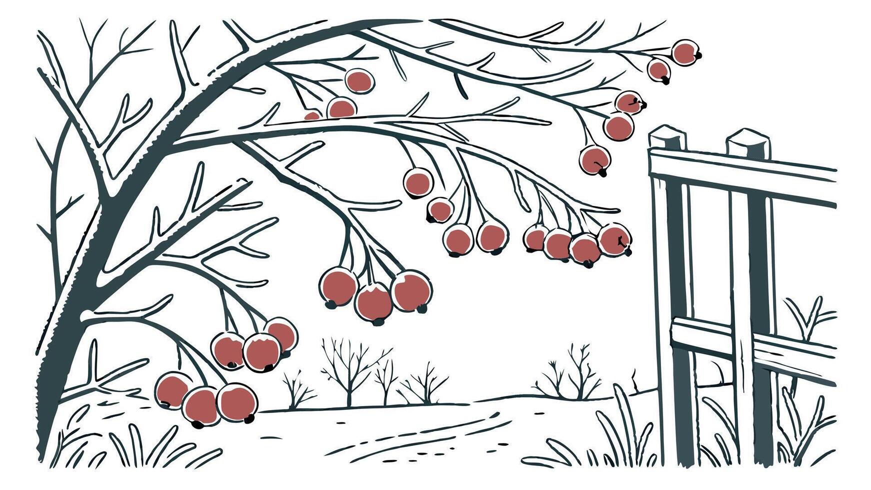 Snow-covered board frame framed by branches with red berries covered in frost. Copy space. vector