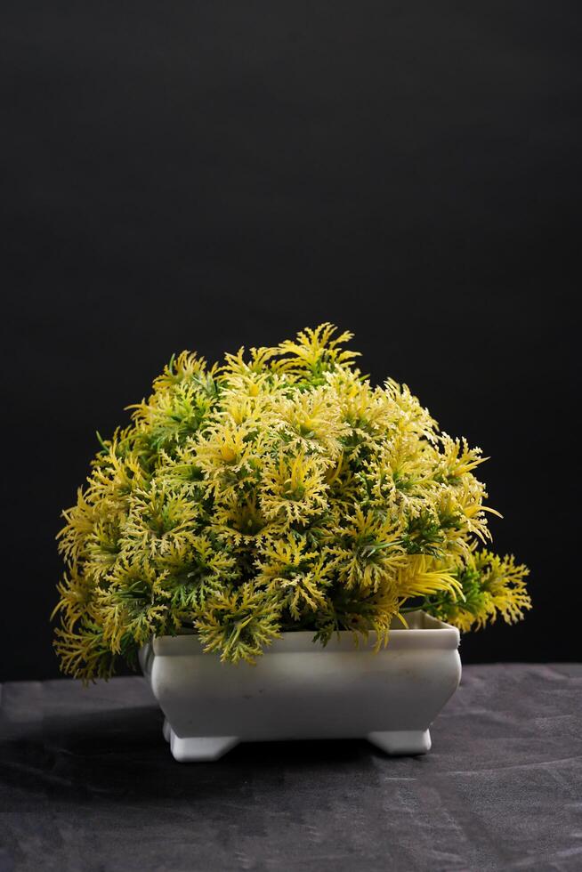 Yellow spring flowers in a vase on black background. High resolution photo. Selective focus. photo