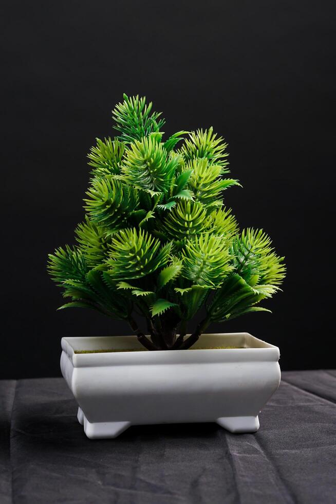 Green spring flowers in a vase on black background. High resolution photo. Selective focus. photo