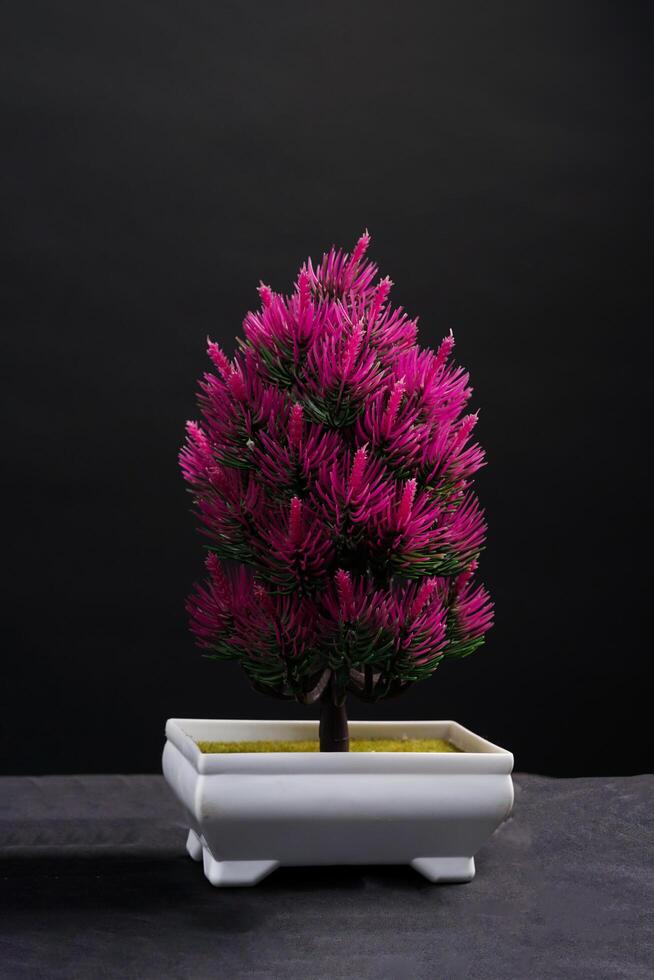 Purple spring flowers in a vase on black background. High resolution photo. Selective focus. photo