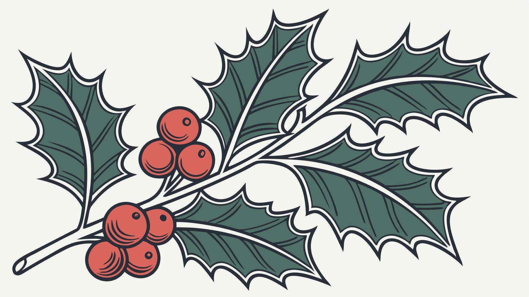 Holly leaves and berries isolated on a transparent background. vector