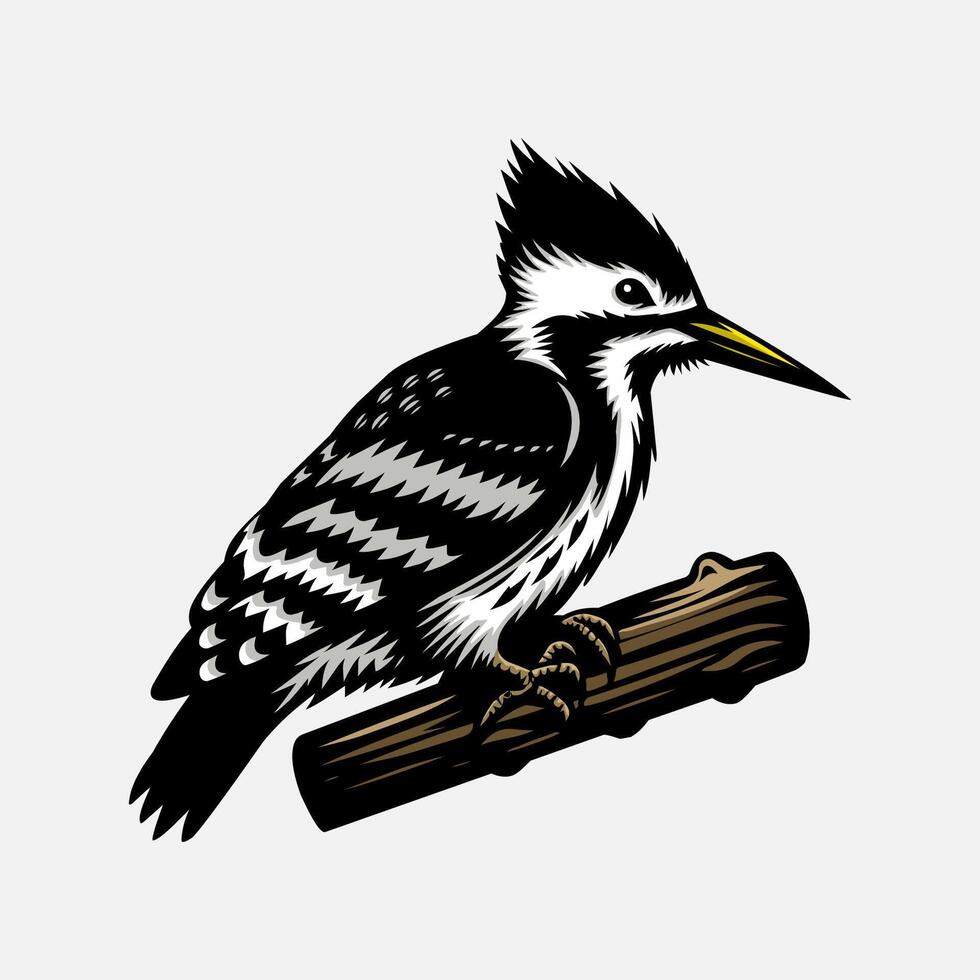 Woodpecker bird hand drawn illustration artwork vector