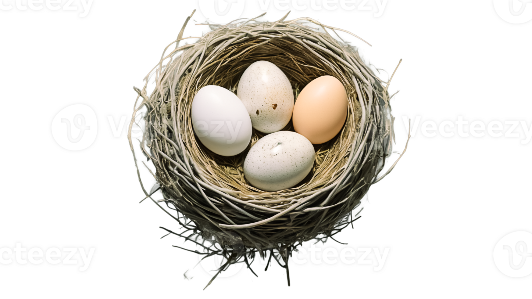 An eco-friendly handmade nest with fragile eggs nestled in twigs reflects organic beauty, balance, and the tender charm of spring, offering a serene connection to forest fauna and rural life png