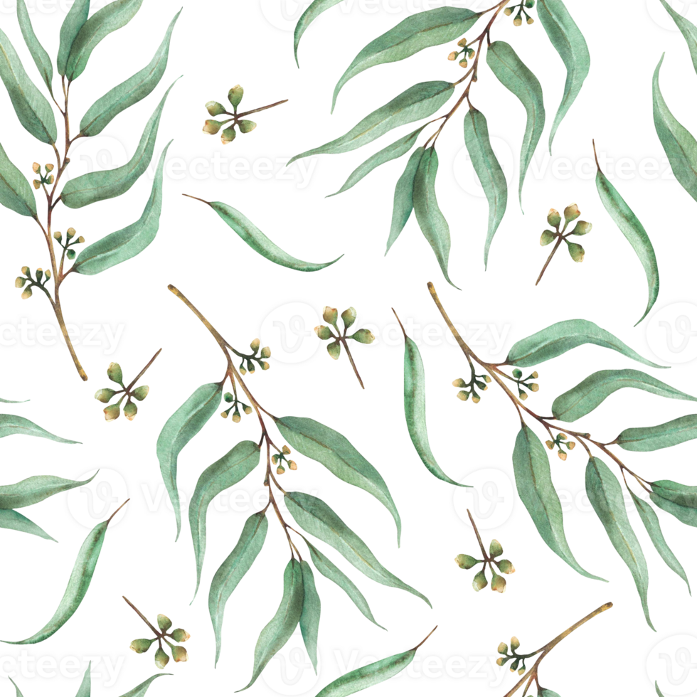 Eucalyptus seeded plant branch with leaves seamless pattern Watercolor floral foliage with green leaf hand drawn greenery illustration for fabric, wallpaper. Herbal clipart isolated from background png