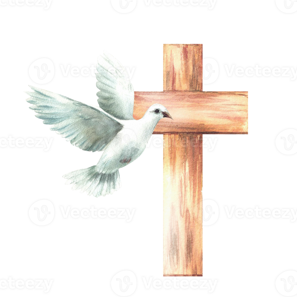 White dove with wooden cross. Flying bird pigeon, symbol of peace and Christian religion. Watercolor hand drawn illustration for Baptism, Christening or first communion card. Isolated from background png