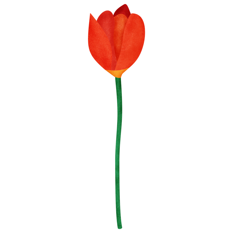 Tulip grain texture spray paint style with transparent background in an everyday petal concept, illustration png