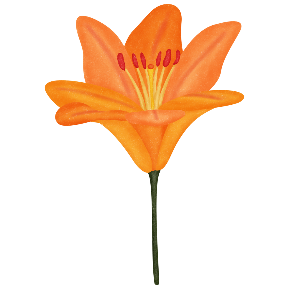 Lilium grain texture spray paint style with transparent background in an everyday petal concept, illustration png