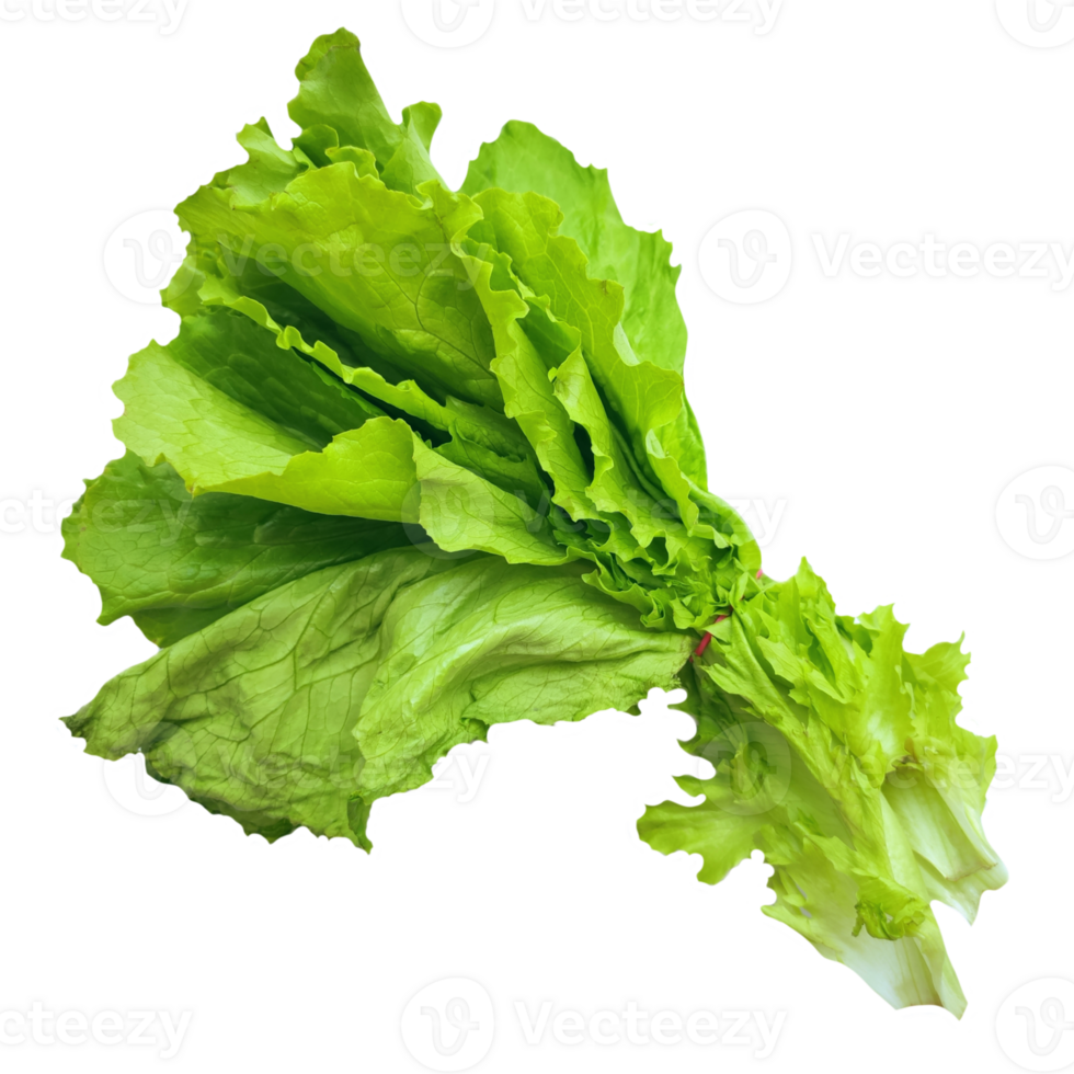 green lettuce leaves in a bunch isolated from the background png