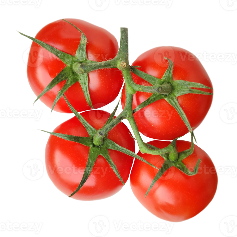a group of fresh tomatoes in one branch isolated from the background png