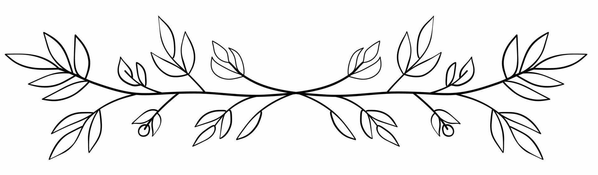 Floral divider freehand drawing illustration. vector