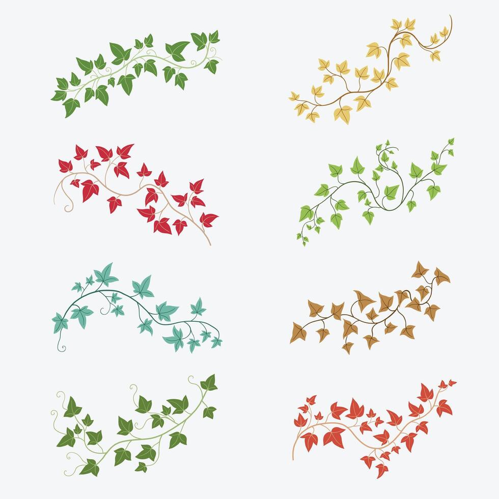 Floral ivy drawing decorative ornament flat design collection. vector