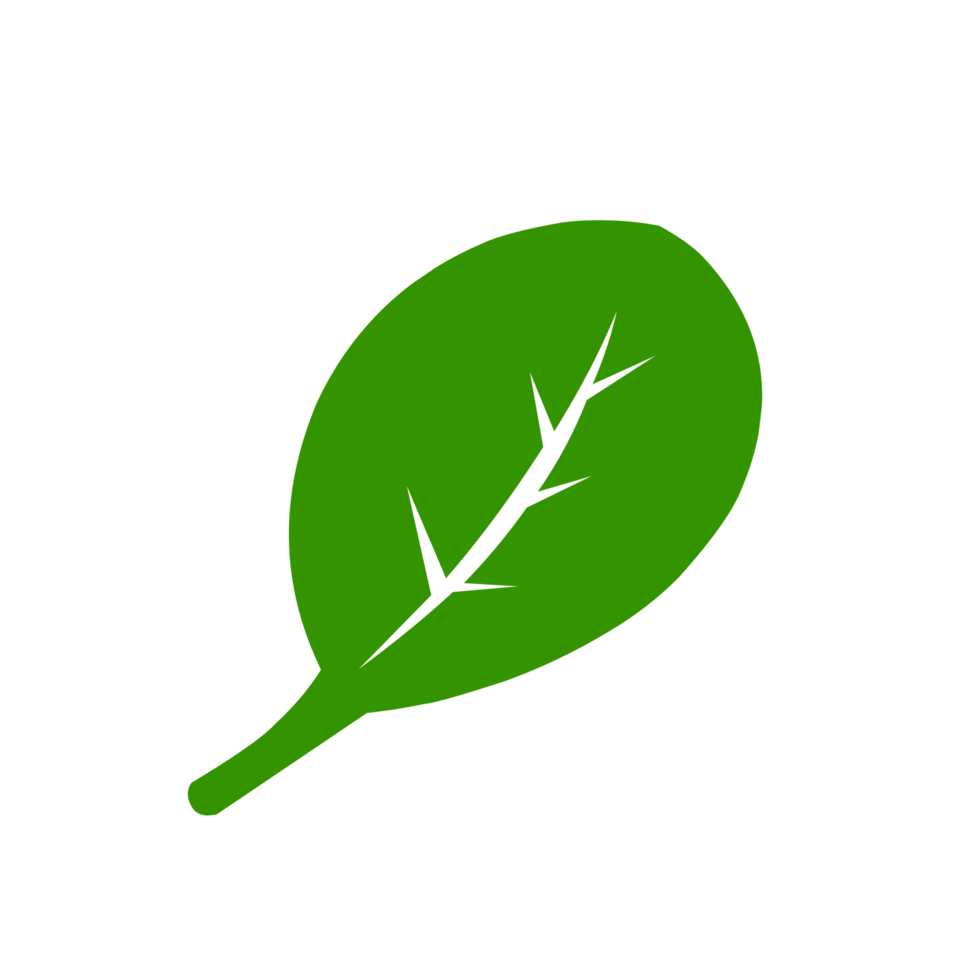 Minimalist Leaves icon png