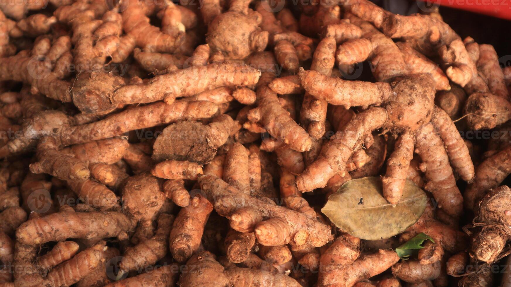 Close up of fresh turmeric roots in the wicker basket, for sale at Indonesia traditional market photo