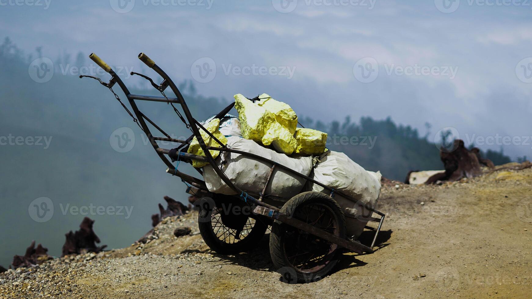 Portrait of Sulfur miner hiking up carrying big baskets with yellow giant rocks of Sulfur after mining the volcanic Ijen crater photo