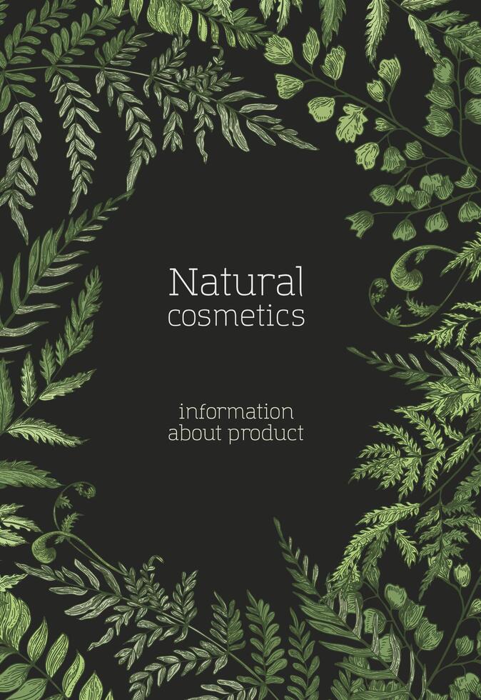 Flyer or poster template with ferns, wild herbs, green herbaceous plants hand drawn on black background. Natural backdrop. Beautiful realistic illustration for cosmetics product promotion vector