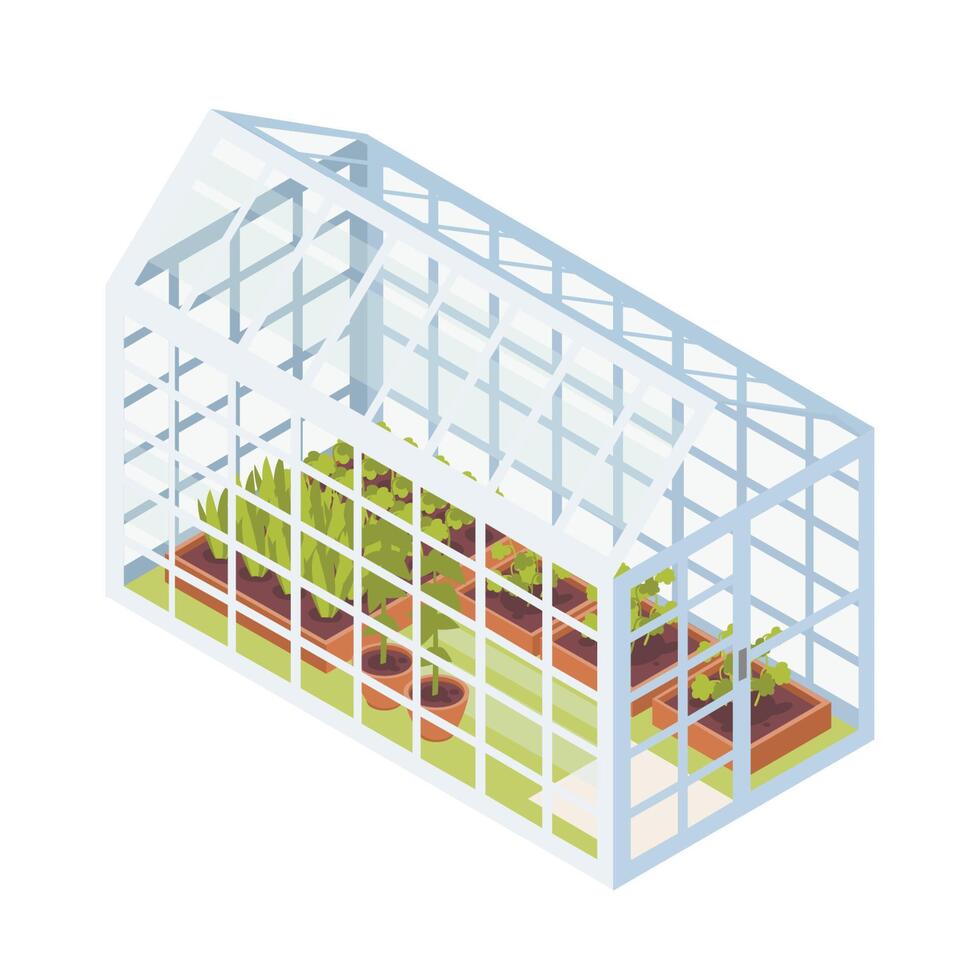 Green seedlings growing in boxes with soil inside glass greenhouse. Isometric glasshouse with garden beds for plants cultivation isolated on white background. illustration in flat style. vector