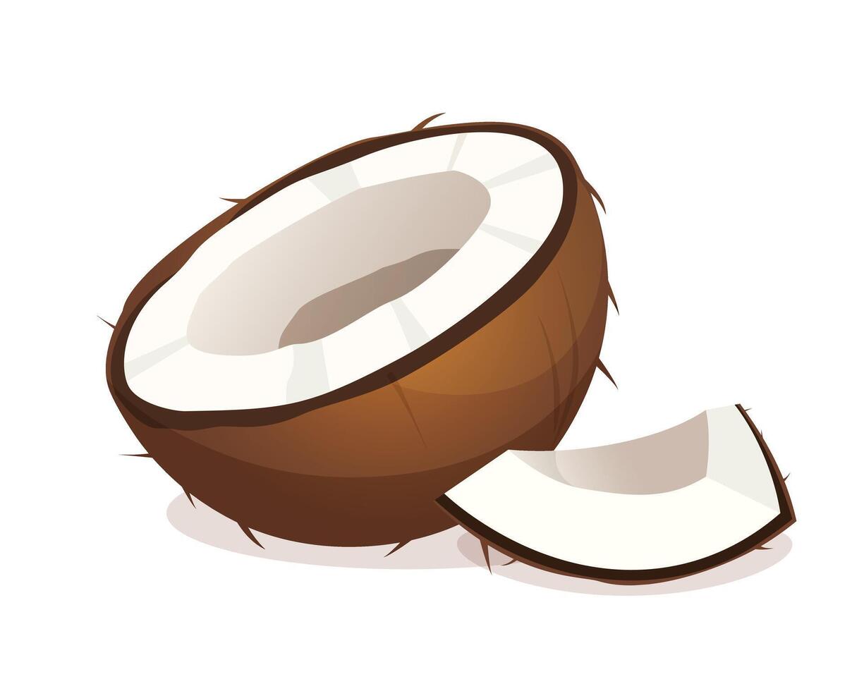 Half and piece of natural fresh coconut isolated on a white background. vector
