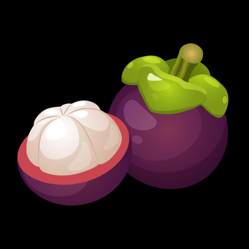 Tropical whole and half mangosteen fruit isolated on a white background. vector