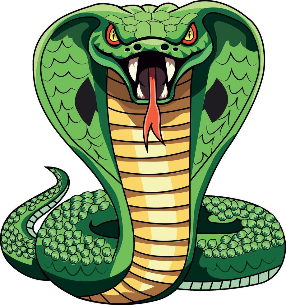 King cobra in threatening stance vector