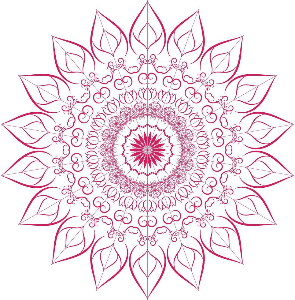 Mandala Ornament Illustration hand drawing vector